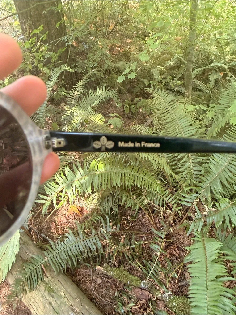 Vintage Jean Lafont Paris sunglasses